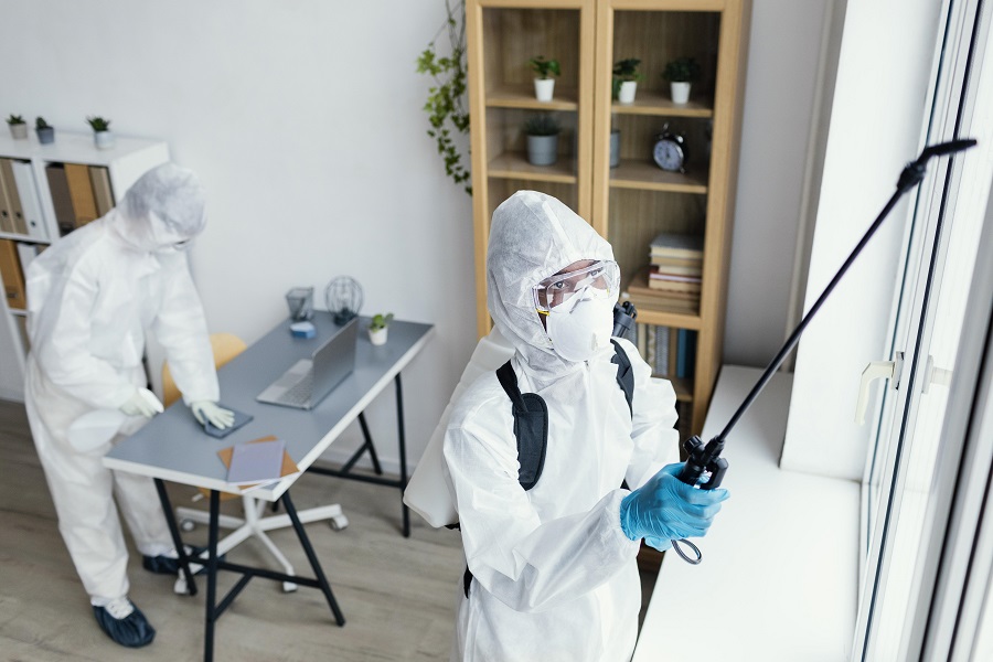 A Detailed Review of Hawx Pest Control's Termite Solutions